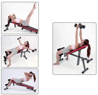 Exercise Bench